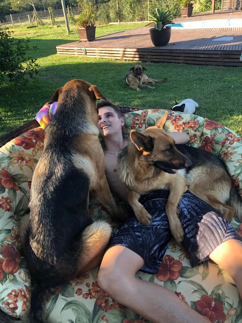 Convivência com os cães no espaço do canil