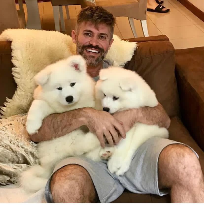 Marcos, fundador do Otto Canil, com filhotes de Samoieda